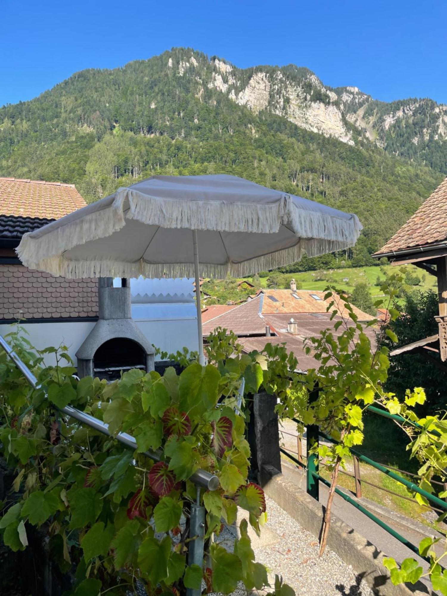 Studio In Alps By Apartments Capricorn Gsteigwiler Екстериор снимка